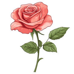 Obraz premium A delicate peach rose a symbol of love and beauty