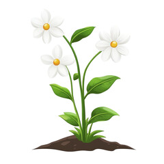 Delicate white flowers blooming joyfully in the garden