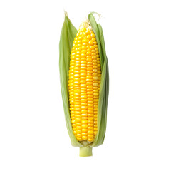 Vibrant Corn Cob on White   Delicious Harvest Crop for Culinary Use