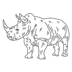 Fototapeta premium rhino rhinoceros horn fat line.eps