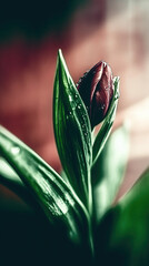 Obraz premium A single red flower with green leaves