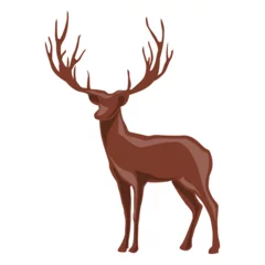  hipster reindeer  © Julie