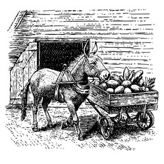Engraved vector illustration of a donkey pulling a cart laden with fresh produce in a rustic setting