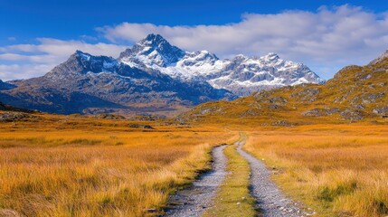 Obraz premium Scenic Pathway Through Vibrant Golden Grassland Leading to Majestic Snowy Mountains
