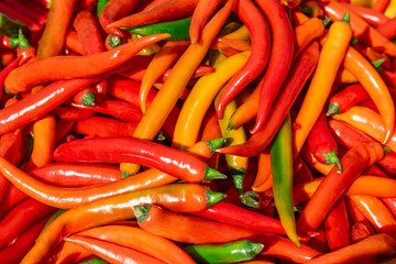 Vivid background of fresh chili peppers in various shades of red yellow and green with smooth shiny...