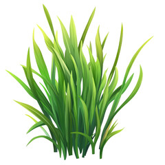 Lush green grass vibrant and alive nature's beauty