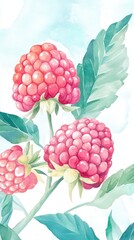 Watercolor Raspberries: A Vibrant Botanical Illustration