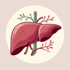 illustration of the liver organ