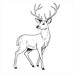 Deer   Vector 