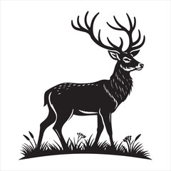 Deer   Vector 