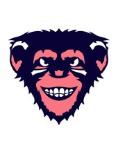 singe animal chimpanzé  