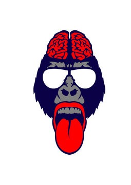 gorille cervelle lunette langue tire cerveau