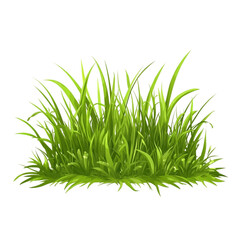 Obraz premium Lush green grass a vibrant patch of nature