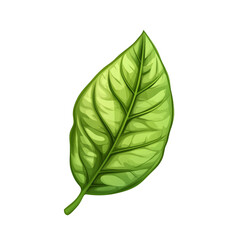 Obraz premium Vibrant green leaf nature's beauty fresh and alive