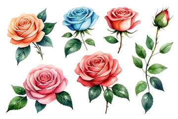 Watercolor Roses Illustration with Green Leaves and Stem on Black Background