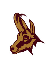 chamois animal sauvage