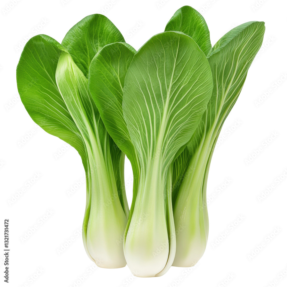 Poster lush group of green lettuce leaves displaying vibrant color and freshness in a natural setting for h