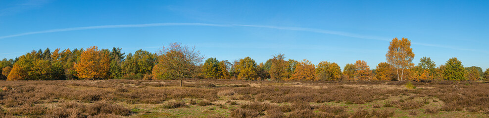Panorama of Barger Heide nature reserve at Stade, Lower Saxony, Germany
