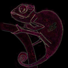 Isolated print of a chameleon silhouette in shades of pink on a black background