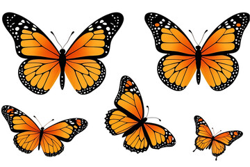 Orange monarch butterflies flying on black background graphic art design