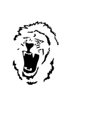 lion sauvage 