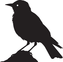 bird, flying, illustration, animal, nature, vector, clip art, feather, wing, animal wildlife