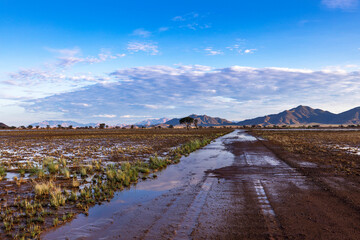 Wet gravel road after overnight rain