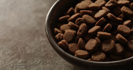 Close-up of brown kibble in a bowl.