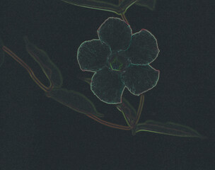 Isolated print of a flower silhouette in shades of green on a black background