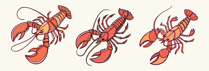 Set of lobster by hand drawing.Lobster vector silhouette on white background.Shrimp art highly detailed in line art style.Animal pictures for coloring