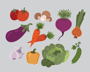 Cartoon vector illustration of fresh vegetable set, healthy food, organic farm harvest. Tomatoes, mushroom, cabbage, bell paper, cucumber, Garlick, onion, carrot, beet, egglpant