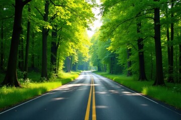 Obraz premium Sunlit Road Through Verdant Canopy of Trees, a Scenic Drive on a Summer's Day