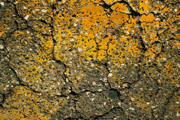 Worn yellow paint surface on cracked asphalt road