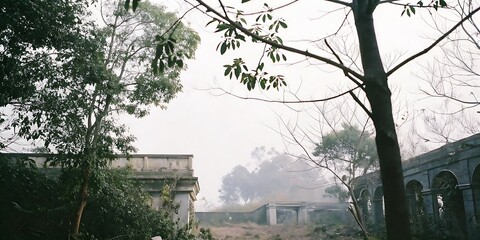 Obraz premium Overcast Day, Ruins, Trees, Foggy Landscape