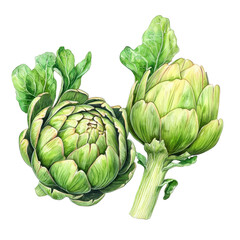 Obraz premium Fresh Artichokes with Leaves and Green Background Illustration