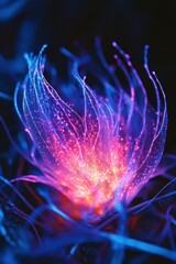 Obraz premium Bioluminescent flower glowing in the dark night