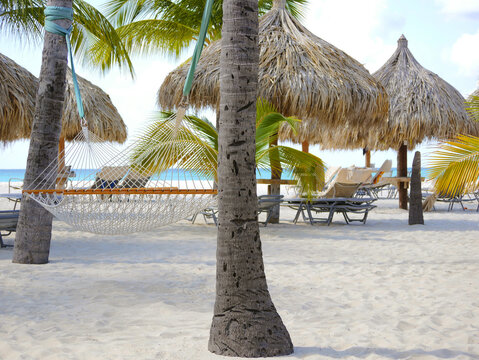 Equipped tropical beach resort with sun loungers and thatch straw umbrellas on Aruba island, Eagle beach - Powered by Adobe