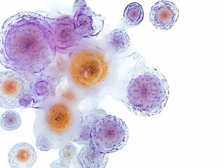 Abstract colorful cellular structures, highlighting the beauty of microscopic life forms and their intricate details.