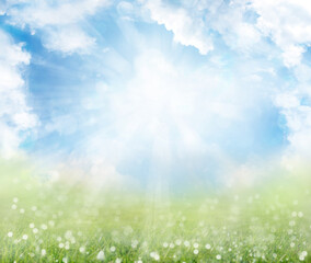 Spring grass and bright sky background