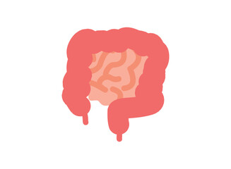  Illustration of an Human Organs Intestine Icon