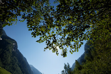 Majestic beauty of Zillergrund valley in the Zillertaler Alps near Mayrhofen showcases nature's splendor under a clear blue sky