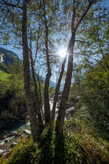 Obraz premium Experience breathtaking views of Zillergrund valley in Zillertaler Alps as sunlight filters through trees near Mayrhofen