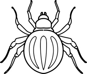 spider doodle insect