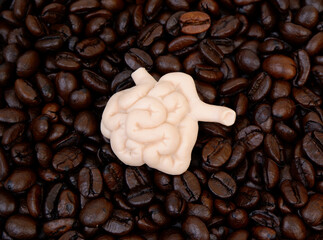 Coffee beans and human small intestine model. Coffee affects small intestine health concept.