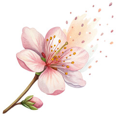 Fototapeta premium Allergies delicate watercolor illustration of blooming pink flower with petals gently dispersing