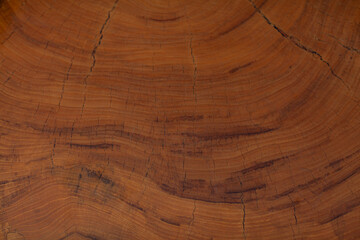 Processed collage of old rustic dark brown wood planks texture. Background for banner, backdrop or texture 