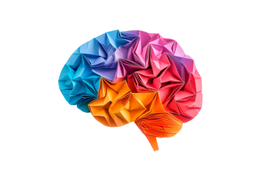 Colorful origami brain model isolated on transparent background
