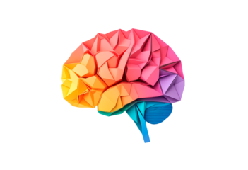 Colorful origami brain model isolated on transparent background