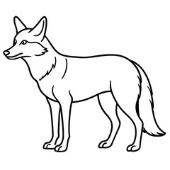 Coyote Outline Sleek Vector Illustration