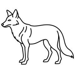 Coyote Outline Sleek Vector Illustration